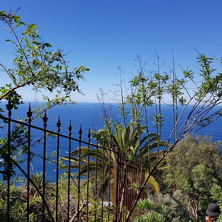 Villa Larnia De Tenerife El El Sauzal Dış mekan fotoğraf