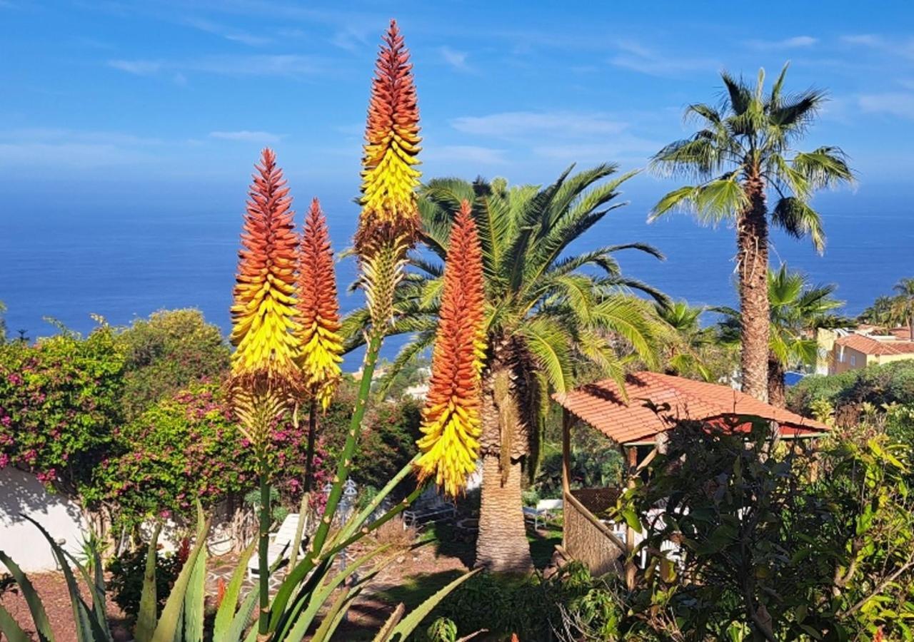Villa Larnia De Tenerife El El Sauzal Dış mekan fotoğraf