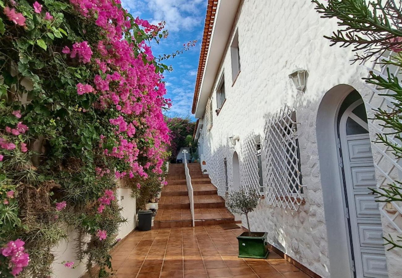 Villa Larnia De Tenerife El El Sauzal Dış mekan fotoğraf