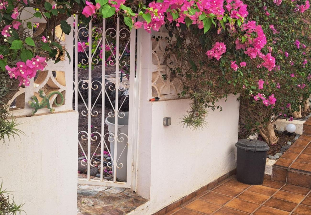 Villa Larnia De Tenerife El El Sauzal Dış mekan fotoğraf