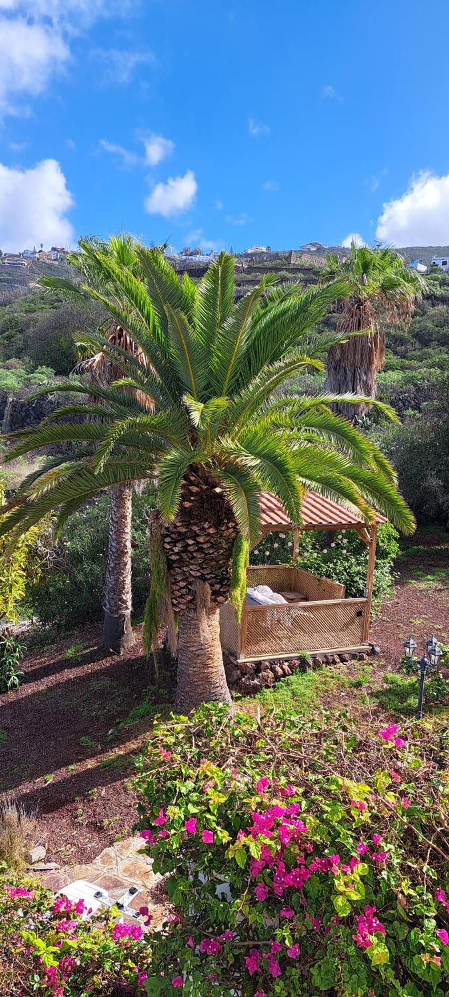 Villa Larnia De Tenerife El El Sauzal Dış mekan fotoğraf