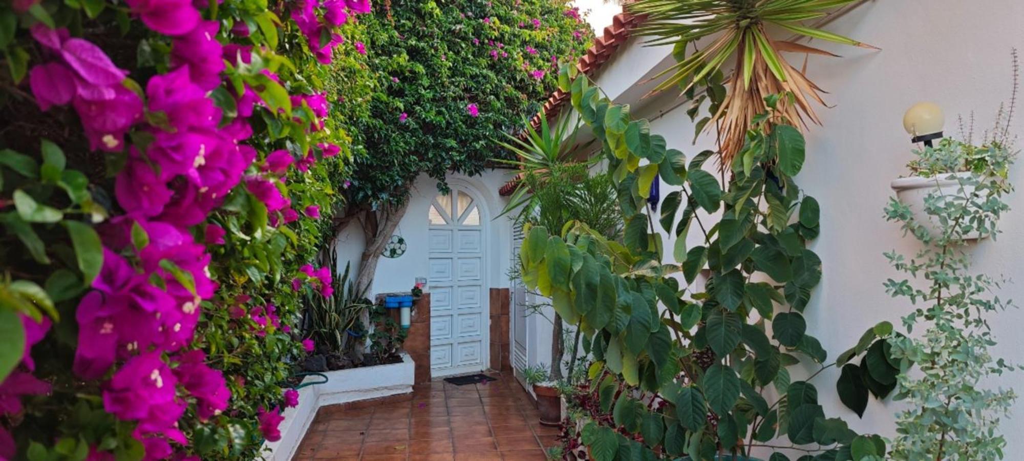 Villa Larnia De Tenerife El El Sauzal Dış mekan fotoğraf