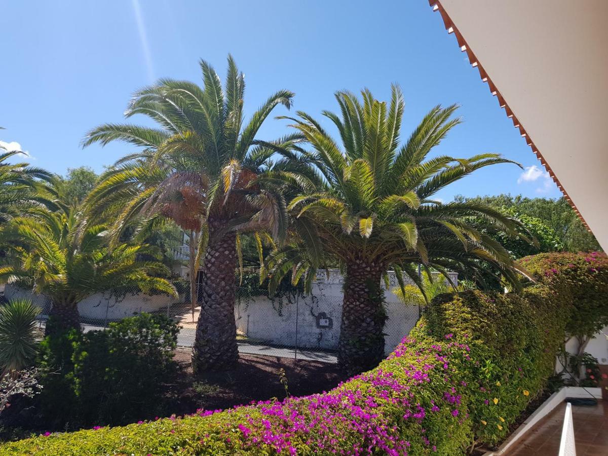 Villa Larnia De Tenerife El El Sauzal Dış mekan fotoğraf