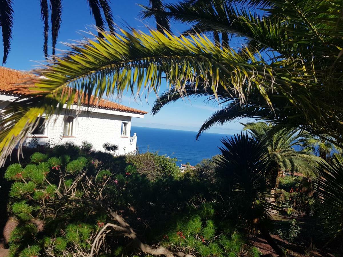 Villa Larnia De Tenerife El El Sauzal Dış mekan fotoğraf