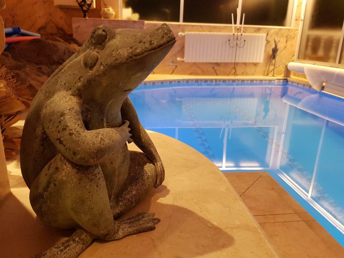 Villa Larnia De Tenerife El El Sauzal Dış mekan fotoğraf