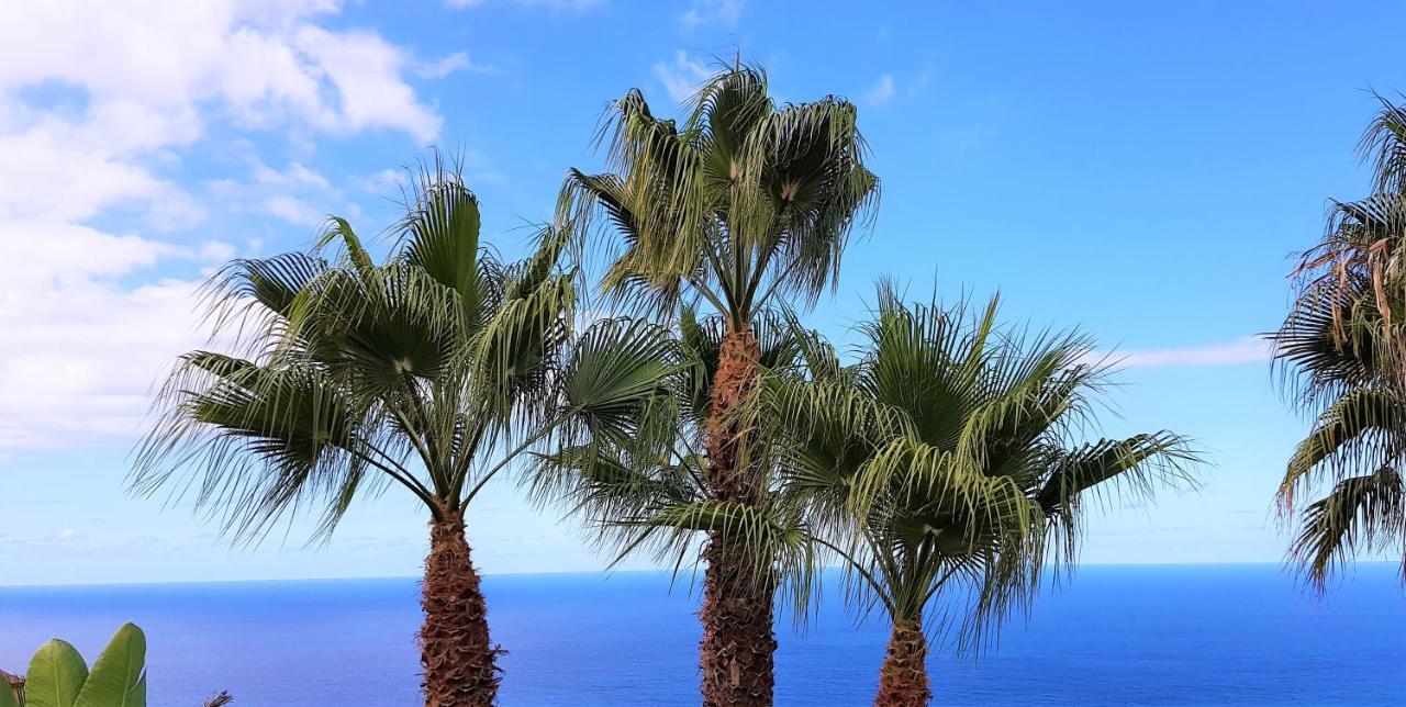 Villa Larnia De Tenerife El El Sauzal Dış mekan fotoğraf